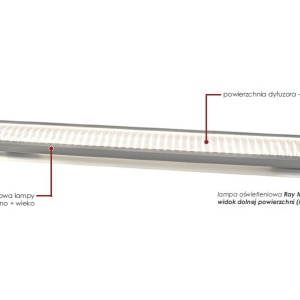 Ray Met-LED Metaloplastyka rys 2